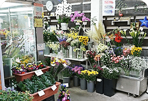 FLOWER&PLANTSあとりえ 淡路店
